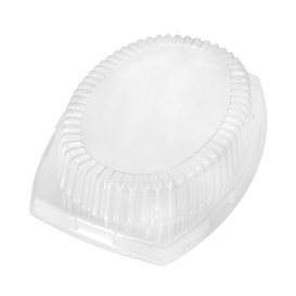 Plastic Lid for Tray 23X18cm 