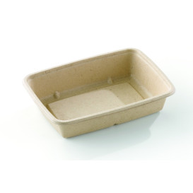 Sugarcane Container 950ml 23x16,5x5cm (75 Units)  