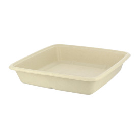 Sugarcane Container 1000ml 23x23x3cm (75 Units)  