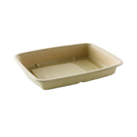 Sugarcane Container 950ml 23x16,5x5cm (300 Units)