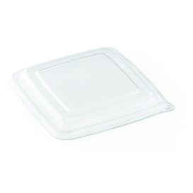 Plastic Lid PET Clear for Bowl 17x17cm 