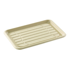 Sugarcane Tray 35x24cm (25 Units) 