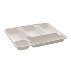 Sugarcane Tray 5 Compartments 30x24x4cm (50 Units) 