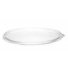 Plastic Lid PET for Salad Bowl Flat Clear Ø18,3cm (252 Units)