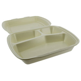 Foam Lunch Box 3 Compartments Champagne 2,40x2,10x0,70cm (250 Units)