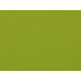 Airlaid Placemat Pistachio 30x40cm (150 Units) 