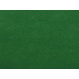 Airlaid Placemat Green 30x40cm (500 Units) 
