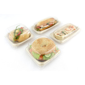 Sugarcane Food Container 14x14cm (300 Units)