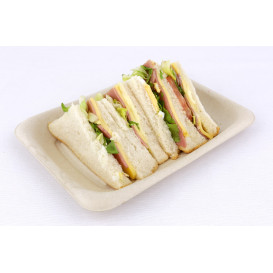 Sugarcane Baguette Container 20x14cm (300 Units)