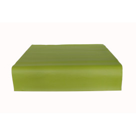 Pre-Cut Paper Tablecloth Pistachio 40g 1x1m (400 Units)  