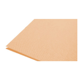 Paper Napkin Double Point Salmon 40x40cm (1.200 Units)