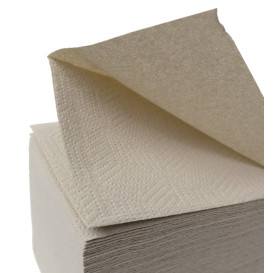 Paper Towel Tissue Eco 2 Layers Z folding (3.800 Units)