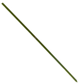 Bamboo Food Pick Natural Green 15cm (200 Units) 