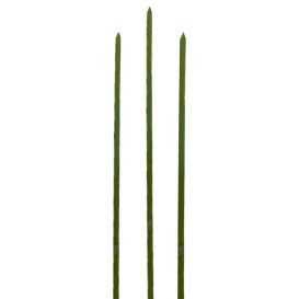 Bamboo Food Pick Natural Green 20cm (200 Units)  