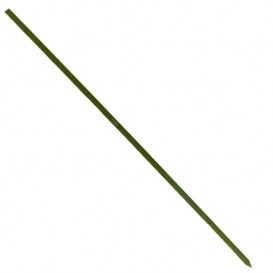 Bamboo Food Pick Natural Green 25cm (200 Units) 
