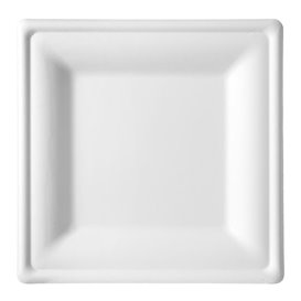 Sugarcane Plate Square shape White 20x20 cm (50 Units) 