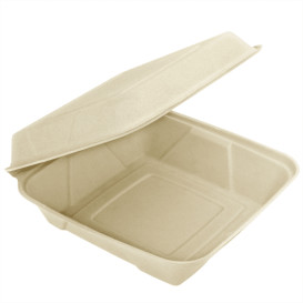 Sugarcane Hinged Container "Menu Box" 22,5x22,5x7,5cm (200 Units)
