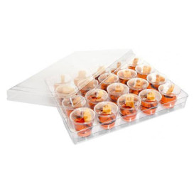 Plastic Tray PS + 20 Bowl Kit with Lid Round Shape (1 Unit)