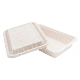 Sugarcane Container with Lid White 22,5x15x4cm (500 Units)