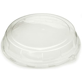 Plastic Lid for Tray 34x8 cm (50 Uds)