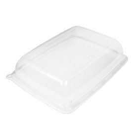 Plastic Lid for Tray 20x28x6 cm (5 Units) 