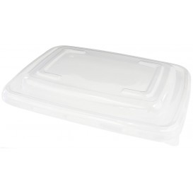 Plastic Lid PP for Container 23x16,5cm (150 Units)