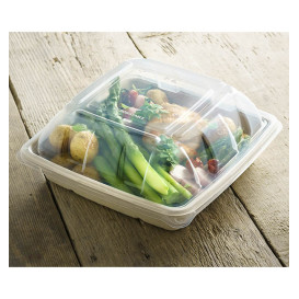 Plastic Dome Lid PP for Container 23x23cm (50 Units) 