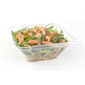 Plastic Bowl PET "Impression" 750ml 17x17x6cm (50 Units) 