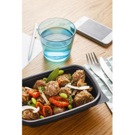 Plastic Deli Container PP Black 500ml 20x13x5cm (300 Units)