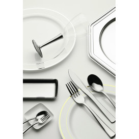 Plastic Plate Extra Rigid with Border Silver 23cm (6 Units) 