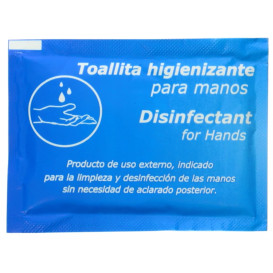 Disinfectant / Hygienic Wipes (100 Units)