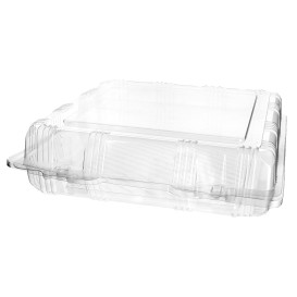 Plastic Hinged Bakery Container PET 22x22x6cm (220 Units)