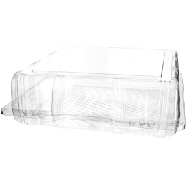 Plastic Hinged Bakery Container PET 25x25x8cm (220 Units)