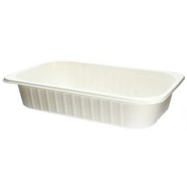 Plastic Tray PP Heat Sealable GS 1/4 24x13,6x5cm (250 Units)