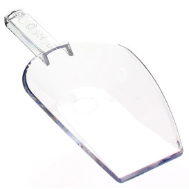 Tasting Plastic Spoon PS "Pala" Clear 9x3,7cm (20 Units) 