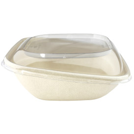 Plastic Lid PET for Container "Vision" 19x19cm (300 Units)