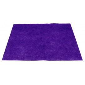 Novotex Placemat Lilac 50g 35x50cm (500 Units) 