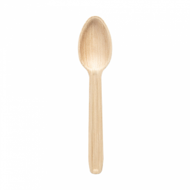 Palm Leaf Tasting Mini Spoon 17 cm (25 Units) 