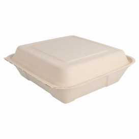 Sugarcane Hinged Container "Menu Box" 22,5x22,5x7,5cm (200 Units)