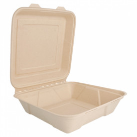 Sugarcane Hinged Container "Menu Box" 22,5x22,5x7,5cm (200 Units)