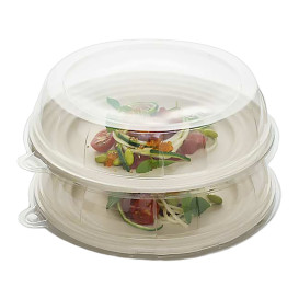 Plastic Lid for Sugarcane Plate Clear 23x5cm (21 Units) 