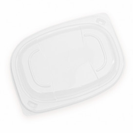 Plastic Lid Transparente Container OPS 400/600ml 19x14x2cm (480 Units)