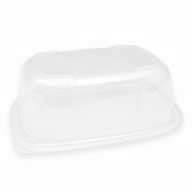 Plastic Lid Transparente Container OPS 800/1000ml 21,5x17x7cm (20 Units) 