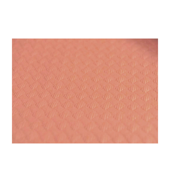 Pre-Cut Paper Tablecloth Salm (300 Units) on 40g 1,2x1,2m (300 Units) Pre-Cut Paper Tablecloth Salm (300 Units) on 40g 1,2x1,2m (300 Units)