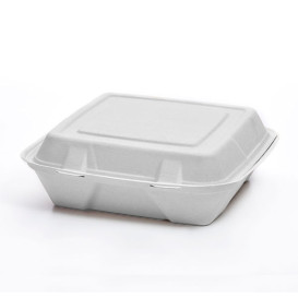 Sugarcane Hinged Container "Menu Box" White 3C 24x23x7,6cm (200 Units)