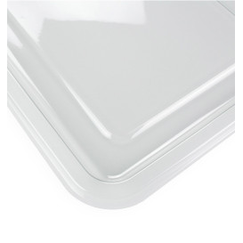 Plastic Tray RPET Transparent 46x30cm (10 Units) 
