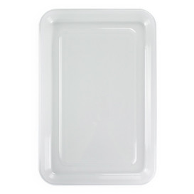 Plastic Tray RPET Transparent 46x30cm (10 Units) 