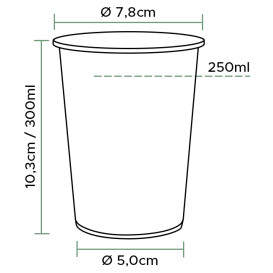 Cornstarch Cup PLA Bio Clear 299ml Ø7,8cm (80 Units)