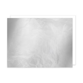 Wikkel Aluminium Dubbellaags Papier Zilver 30,5x30,5cm (2.000 Units)