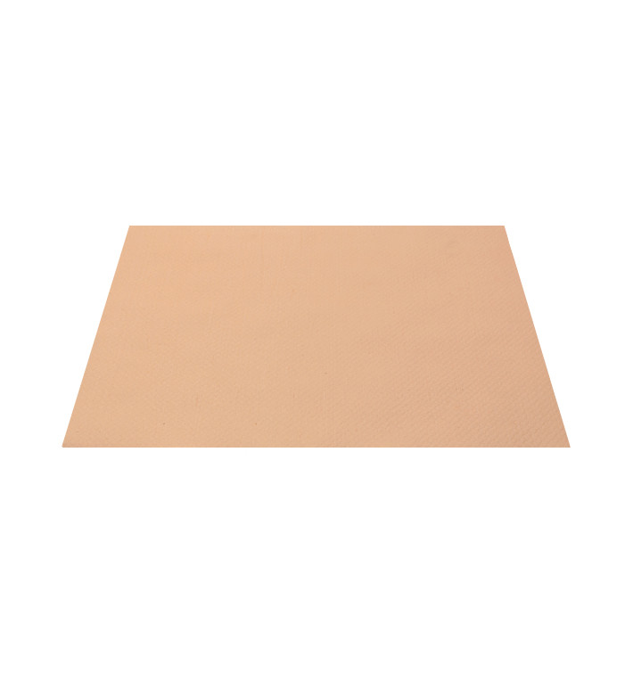 Placemat of Paper in Salmon 30x40cm 40g/m² (1.000 Units) Placemat of Paper in Salmon 30x40cm 40g/m² (1.000 Units)